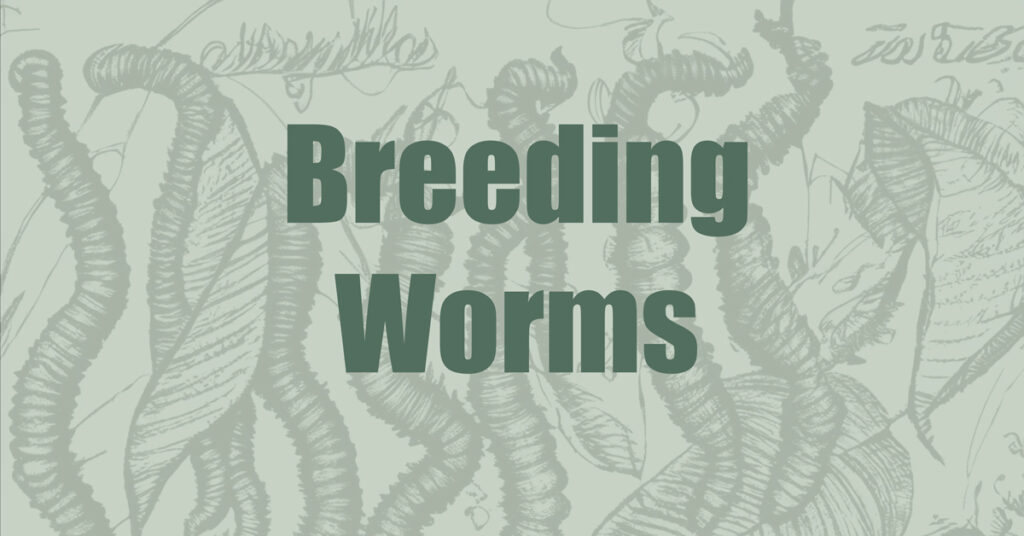 Breeding Worms