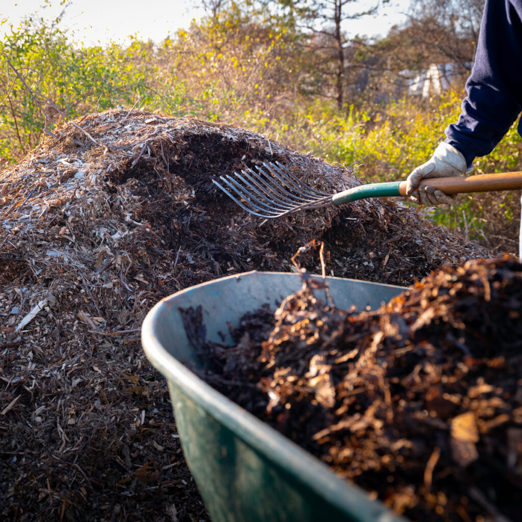 Person turning raw compost with a wheelbarrow and pitchfork - Blue Mountain Worms sustainable gardening.